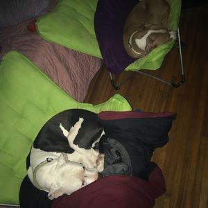 Meet your Posher, Nick